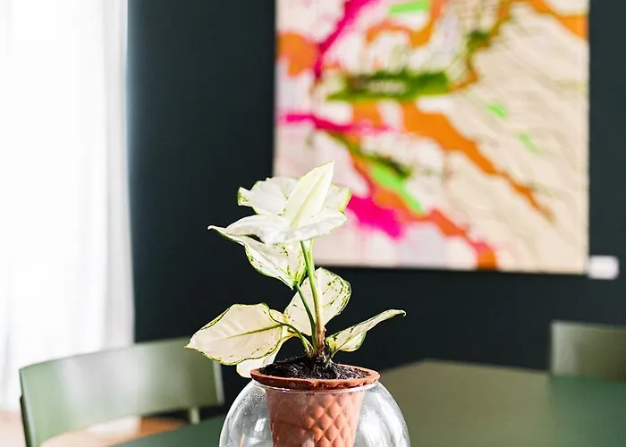 Apartmán Casa G: Design Janov